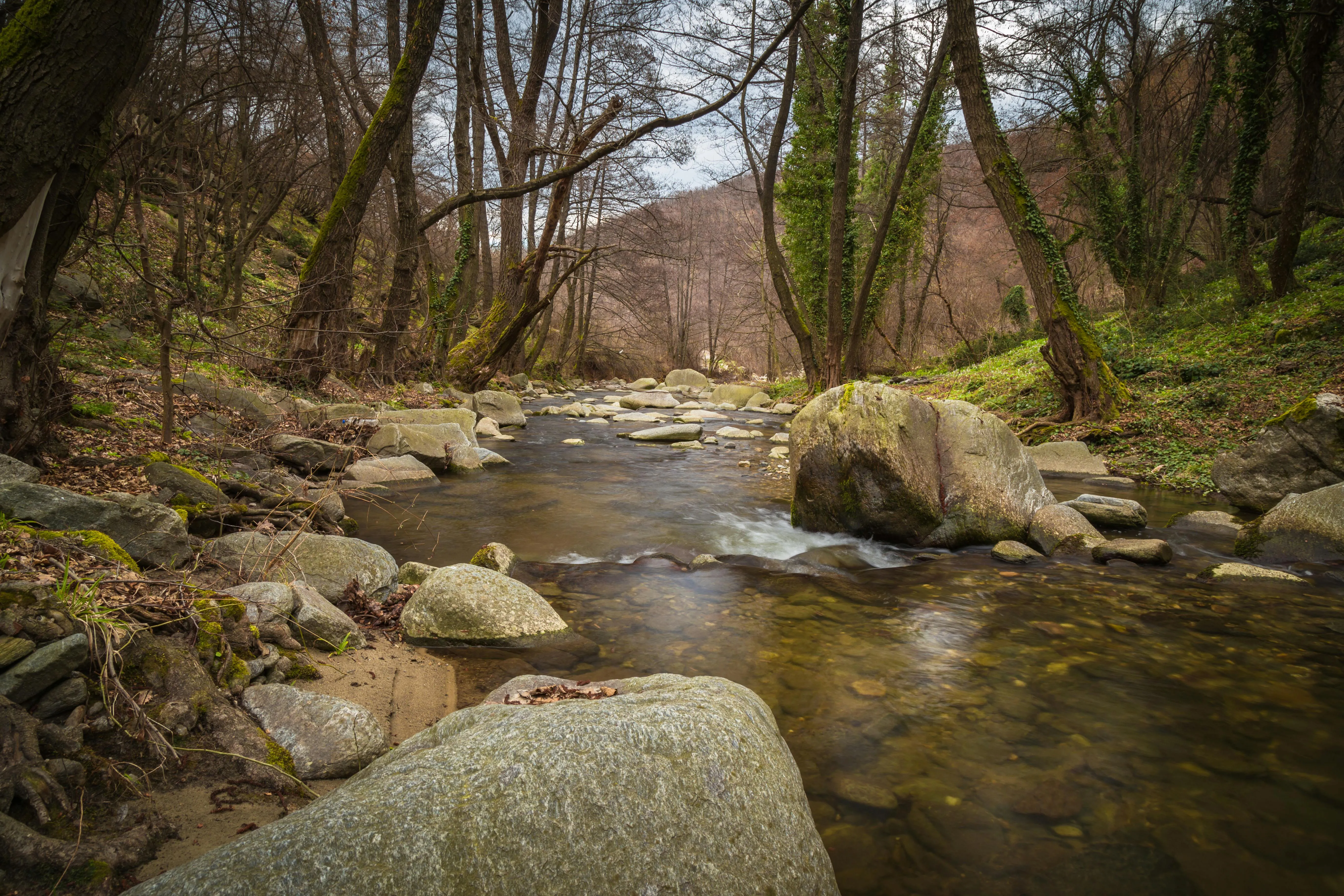 Anton Atanasov on Pexels