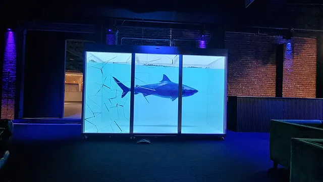 Professor David Sandringham on Wikimedia Commons