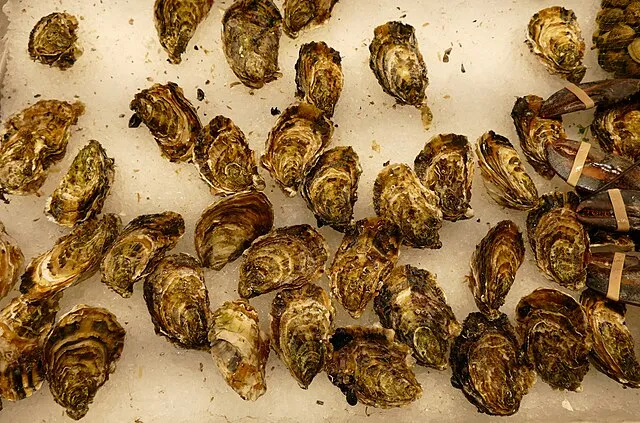 Kritzolina on Wikimedia Commons