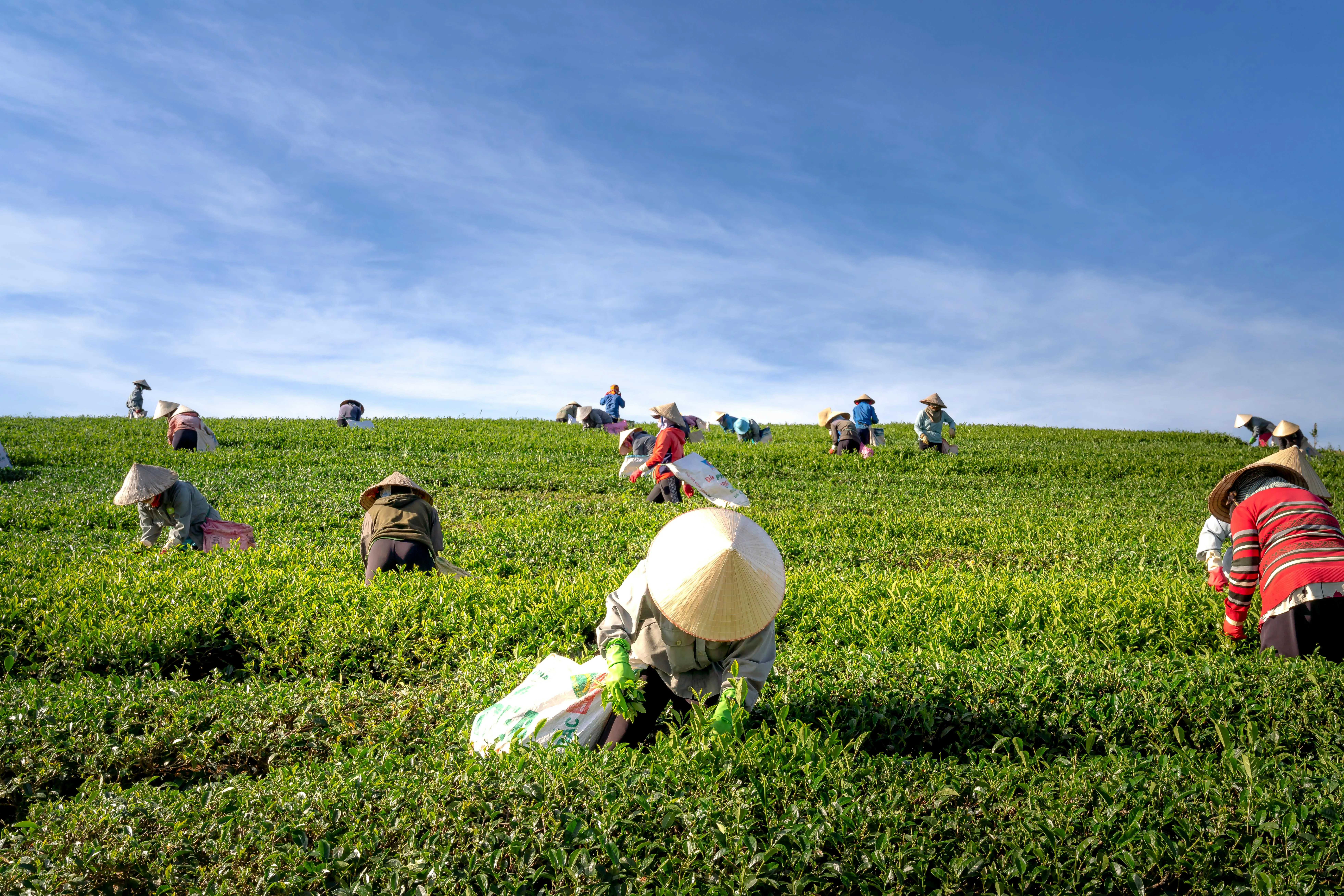 15 Farming Practices Used Before Modern Equipment