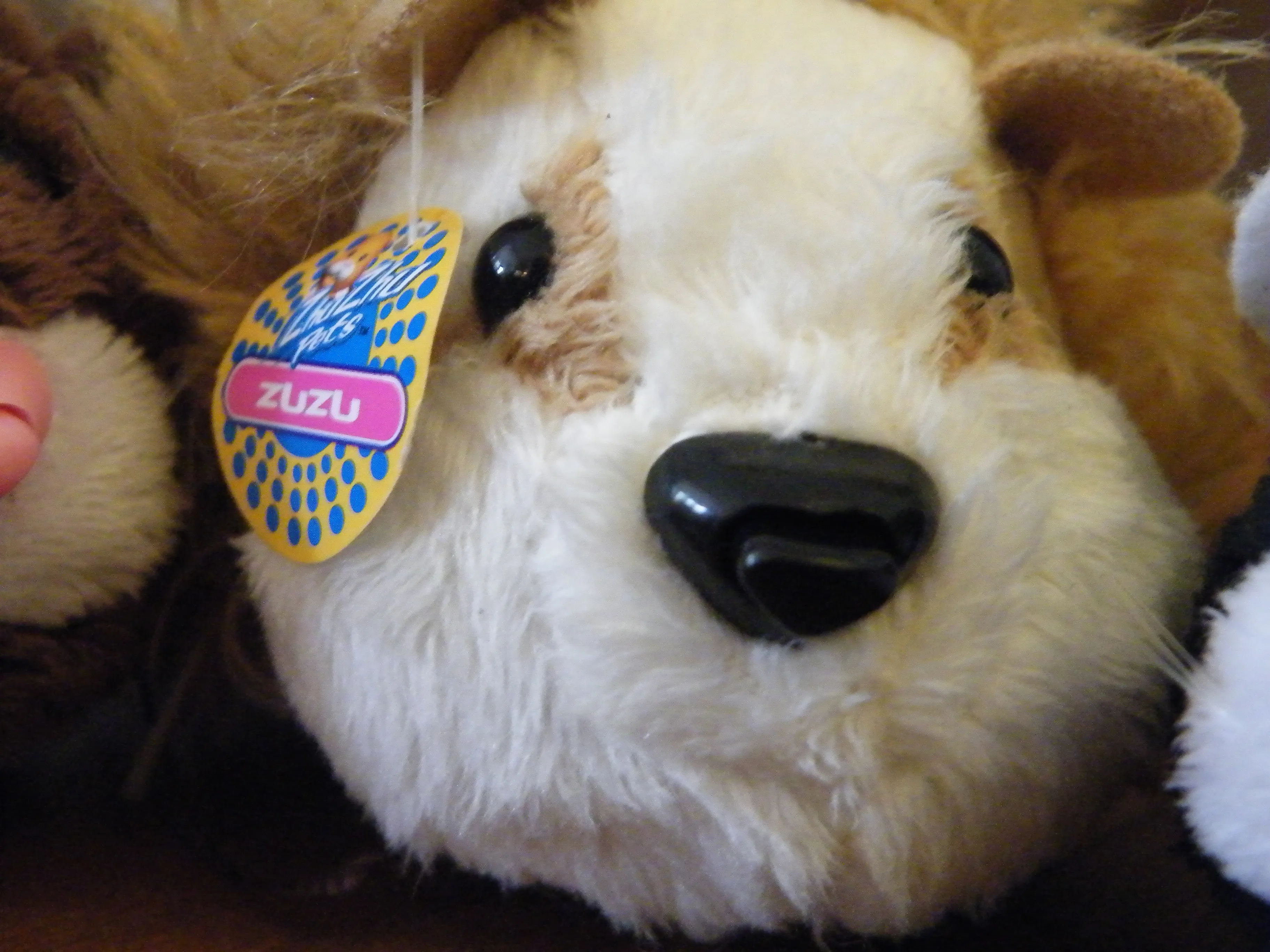 Martin Weller on Flickr