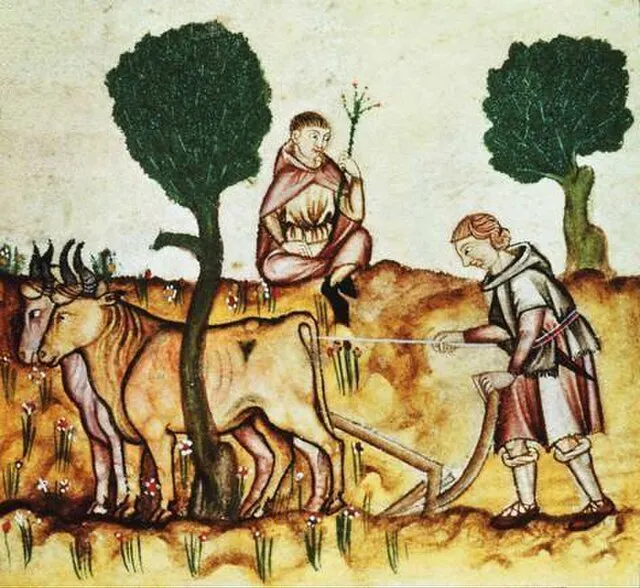 Wikimedia Commons