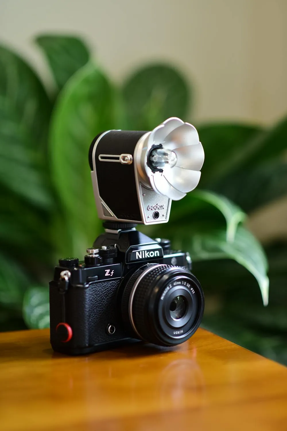 Sóc Năng Động on Pexels