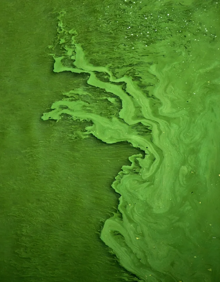 Mihály Köles from Unsplash