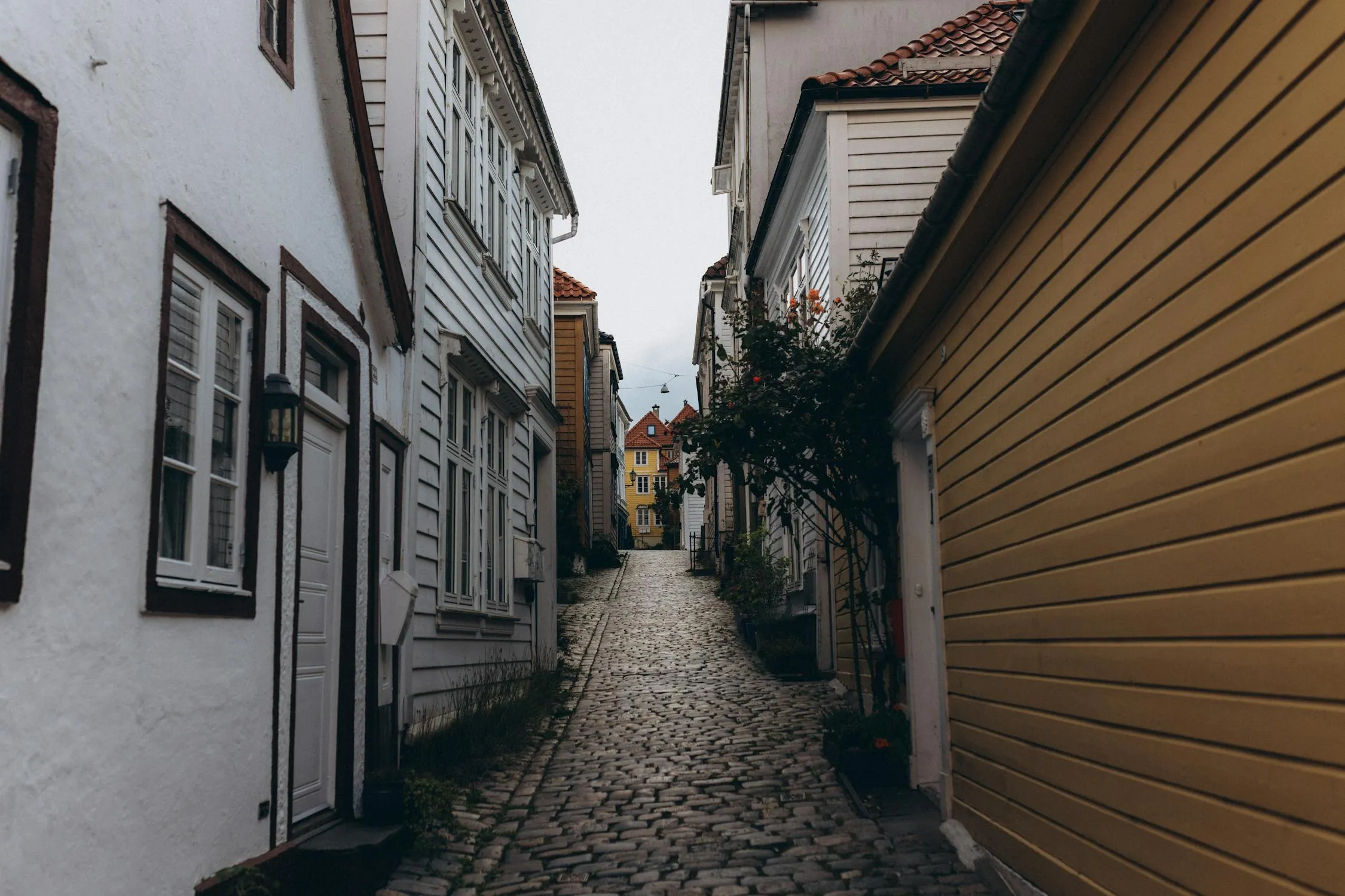 Jonathan Borba on Pexels