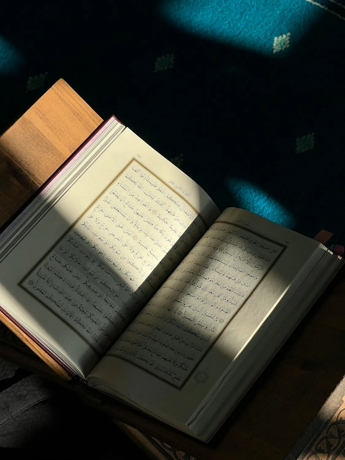  Ayşegül Yılmaz on Pexels