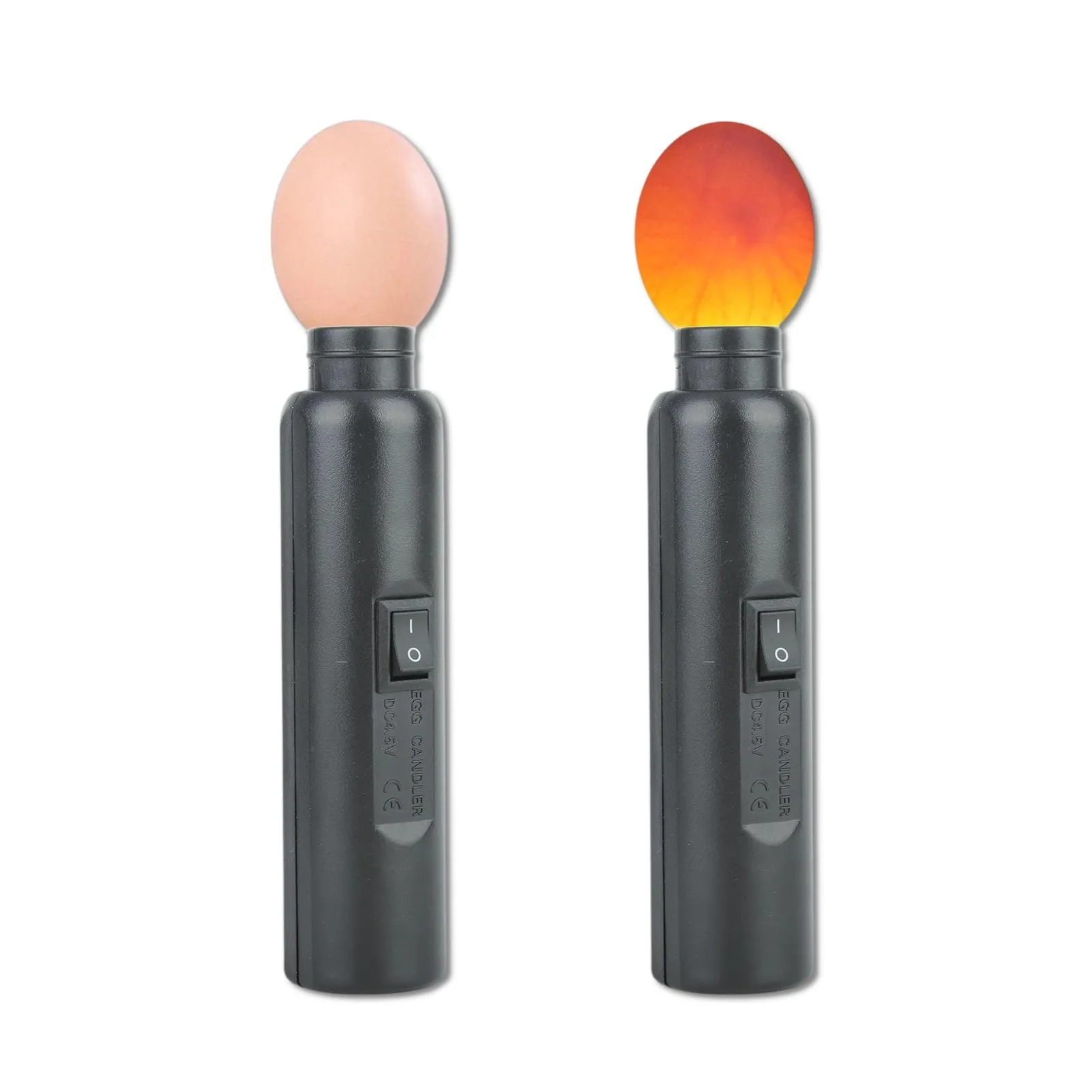 Image from Amazon.com