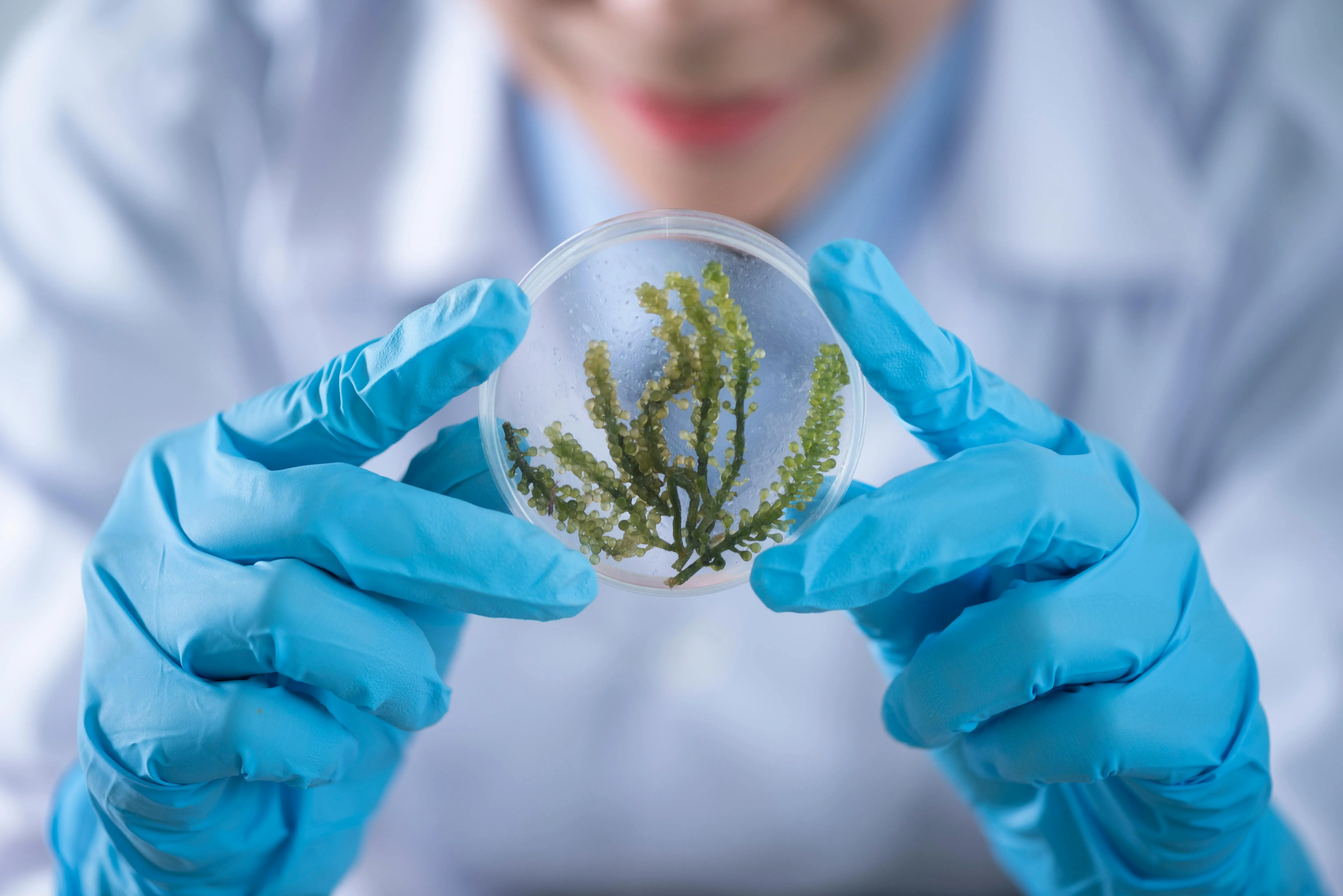 20 Scientific Breakthroughs Made Through Field Observation