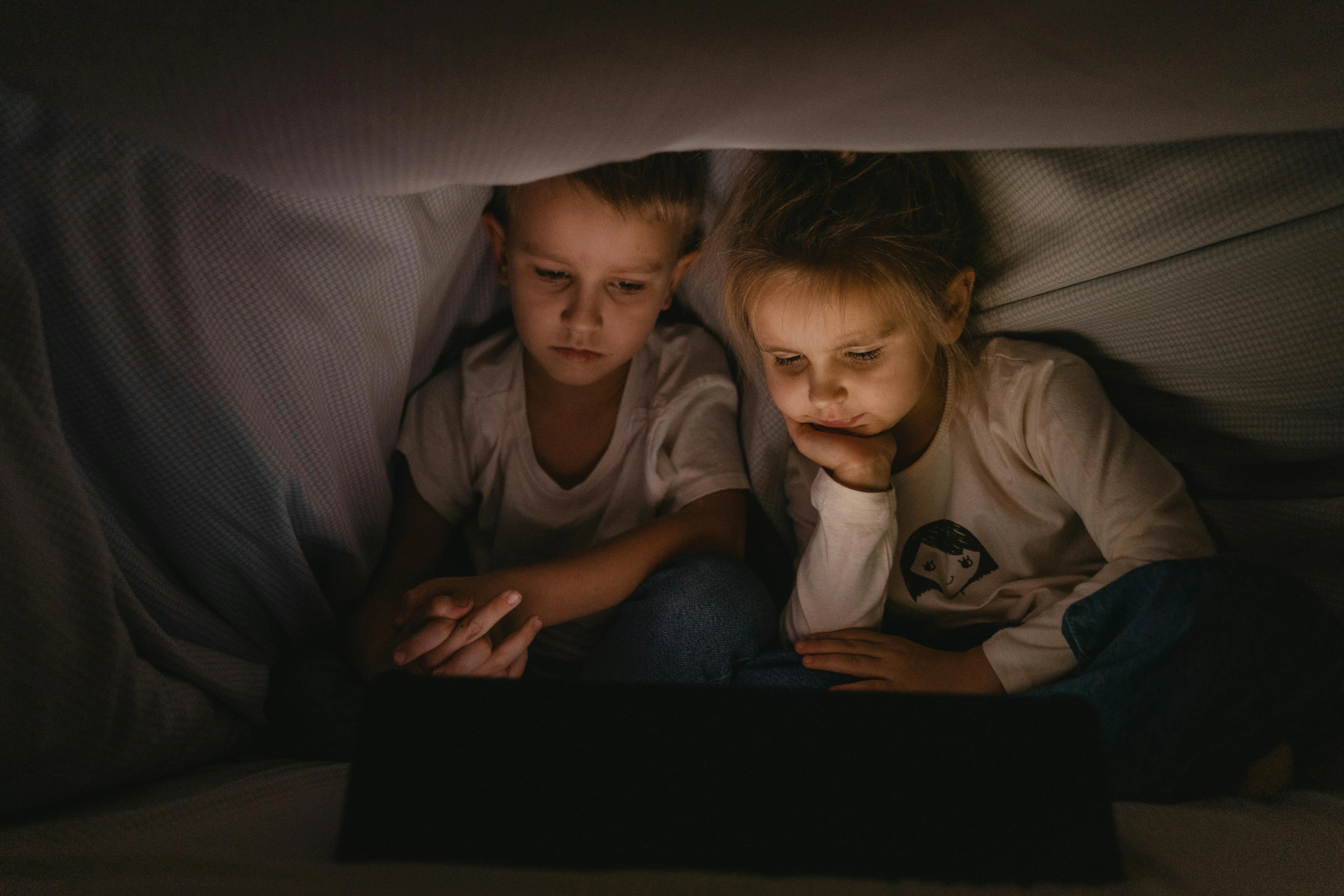 Tima Miroshnichenko on Pexels